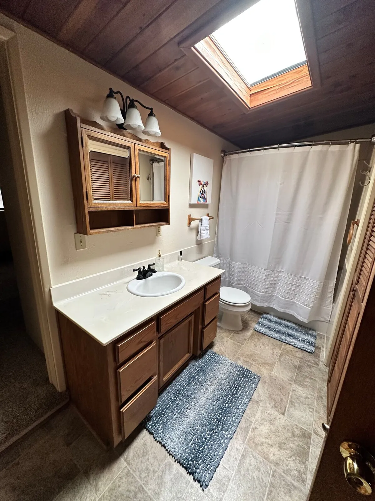 A bright, calming bathroom with a contemporary vanity and sink, a wooden medicine cabinet, a skylight above, and a stylish shower curtain. The space is accessorized with plush towels and elegant fixtures, creating a spa-like vibe.