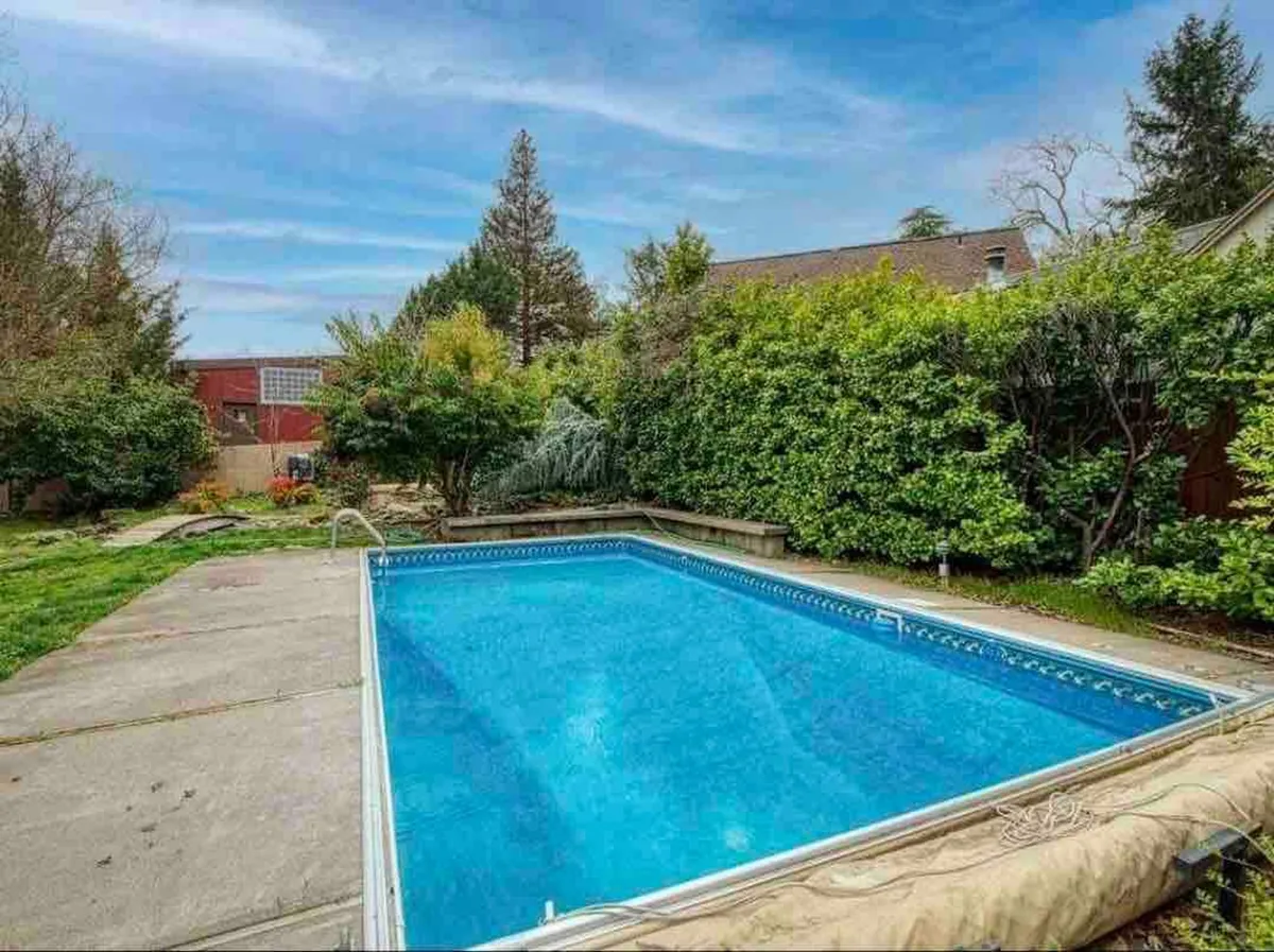 A tranquil swimming pool area framed by lush greenery and a concrete patio, set up for relaxing, swimming, or hosting poolside gatherings. The inviting water and surrounding nature evoke post-adventure relaxation and shared fun.